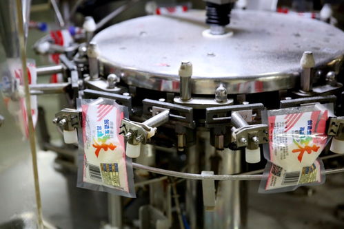 餐桌上的食品安全無小事 走進沈陽綠色工廠，探訪神秘小食品生產線