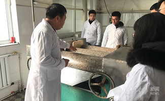 返鄉(xiāng)創(chuàng)業(yè)、貢獻(xiàn)家鄉(xiāng) 小食品生產(chǎn)線塑造社會(huì)責(zé)任感的實(shí)踐與思考