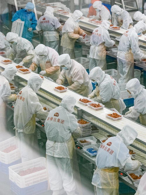 深讀丨解答 196 的安全難題 食品包裝機(jī)械的挑戰(zhàn)與應(yīng)對