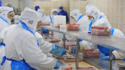 2700萬元專項(xiàng)扶持助力我市小食品生產(chǎn)線升級